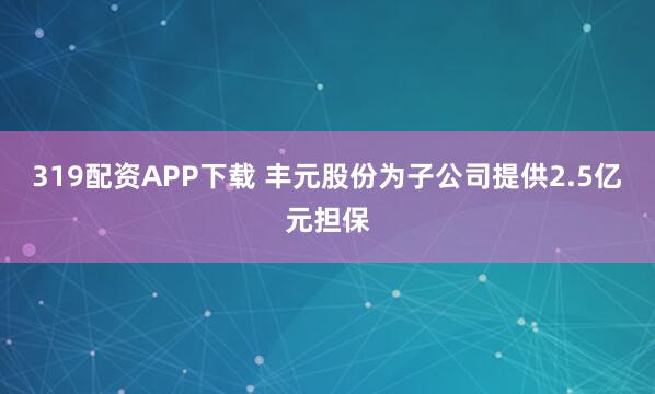 319配资APP下载 丰元股份为子公司提供2.5亿元担保