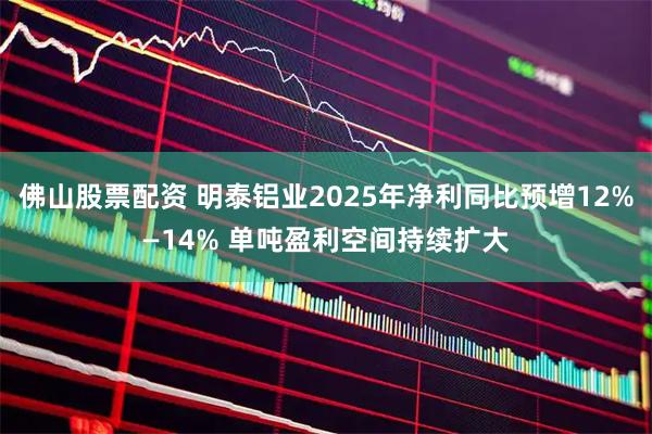 佛山股票配资 明泰铝业2025年净利同比预增12%—14% 单吨盈利空间持续扩大
