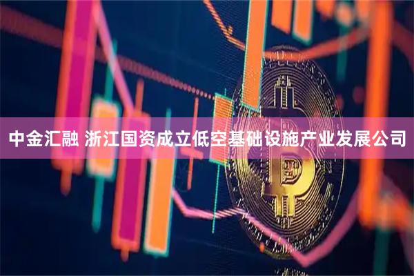中金汇融 浙江国资成立低空基础设施产业发展公司