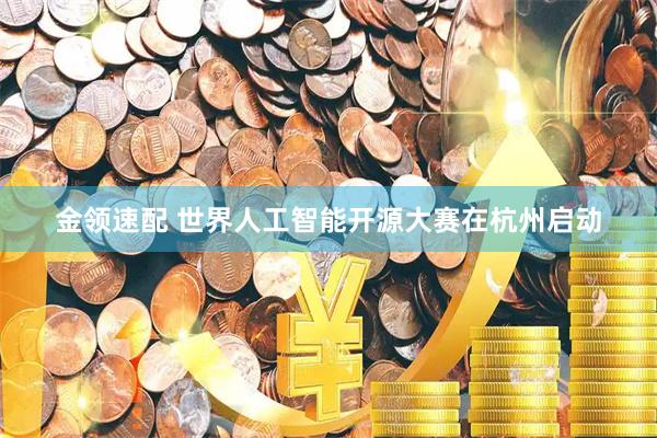 金领速配 世界人工智能开源大赛在杭州启动